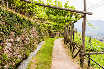 Algund, Waalweg, Wanderweg, Weinberg, Weinpergola, Wasserversorgung, Vinschgau, Südtirol, Sommer, Italien