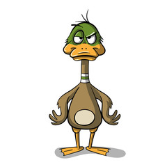 Angry cartoon duck. Hand draw vector illustration.