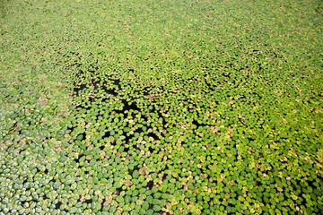 Imjingak Pyeonghoa-Nuri Park in Paju, Korea.