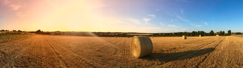 Campagne au soleil à la fin de lété © Thierry RYO