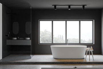 Gray bathroom interior with tub and shower