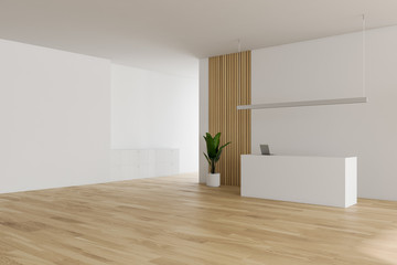 White and wooden office corner with reception