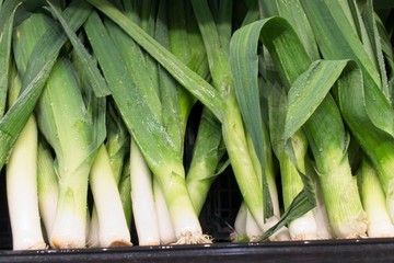 Obraz premium Fresh, healthy Leeks on display
