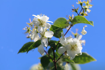 Frogner Park, Vigeland sculpture park, Oslo