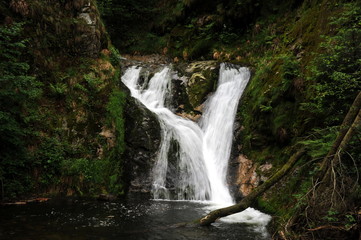 Fototapeta na wymiar Wasserfälle Allerheiligen im Schwarzwald