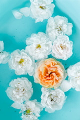 Beautiful floral texture of roses in water on blue background