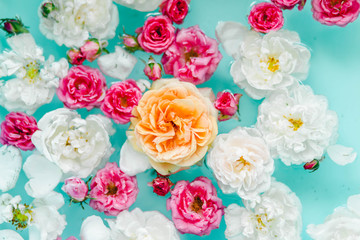 Perfect floral texture of colorful roses in water on blue background