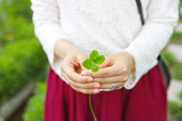 四つ葉のクローバー