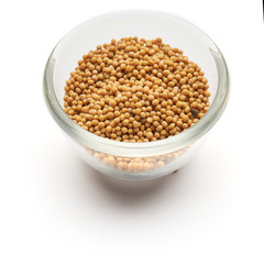 mustard dried isolated   in a glass plate