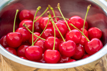 Im Sommer gibt es leckere frische Kirschen frisch vom Baum aus dem Garten