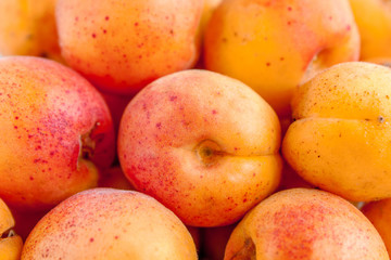 Background from a variety of ripe juicy orange apricots closeup.  E