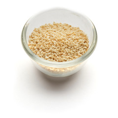 sesame grain isolated in a glass plate