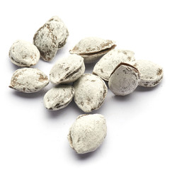 Fototapeta na wymiar salted pistachio whole nuts in the peel