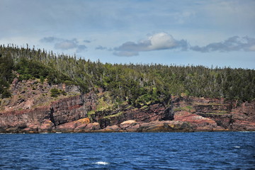 Beautiful stony shores of the Atlantic Ocean (Newfoundland Island, Canada).