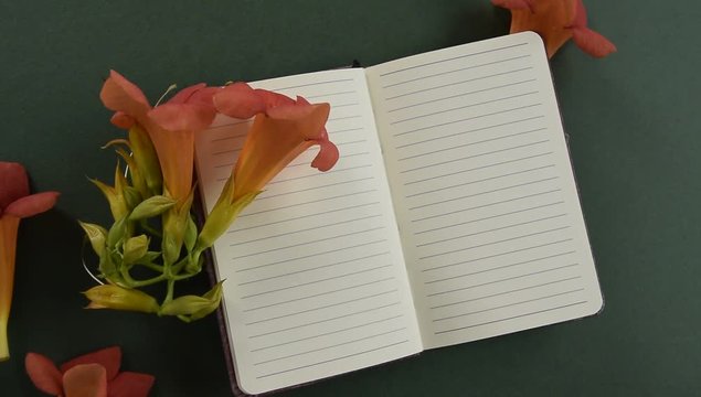 Top view of empty notepaper with fresh blossom flowers, vintage romantic flat lay