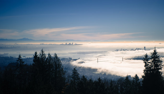 Vancity Fog