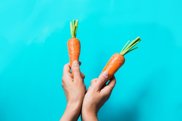 A bunch of fresh carrots in hand on blue background.