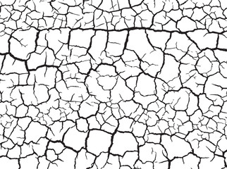 The cracks texture white and black. Vector background.Cracked earth. Structure of cracking. Cracks in dry surface soil texture. shards