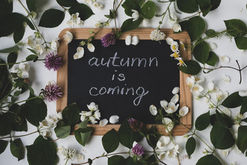 Blackboard in wooden frame with sign autumn is coming with wilting flowers and plants, flatlay.
