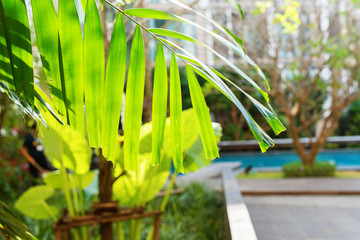 Obraz na płótnie Canvas Luxury apartment building Thailand with swim pool