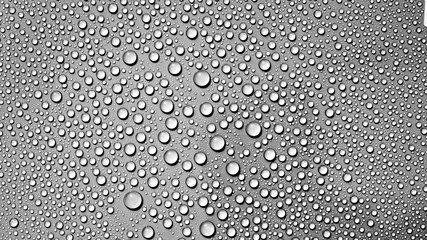 drops water on grey background
