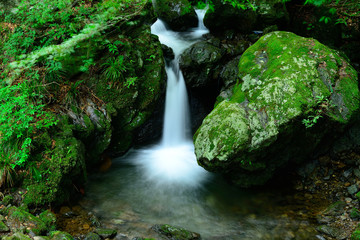 Photograph of small waterfall of Okutama