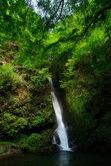 It is a waterfall in Tokyo, Japan