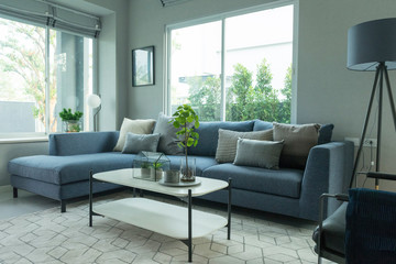 Modern and stylish living room, blue sofa and grey pillow with coffee table and floor lamp.