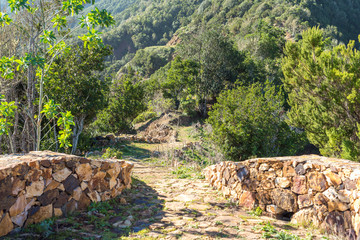 Scenic viewpoint on the hiking trail to the village Vallehermoso in the north of La Gomera 