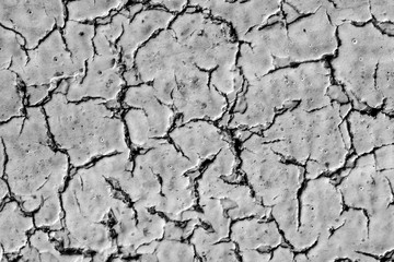 texture of cracked white paint. texture of cracked plaster.
