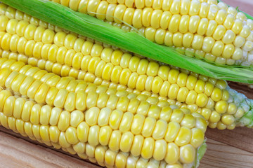 sweet corn on wooden background