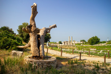 Letoon ancient city ruins Turkey