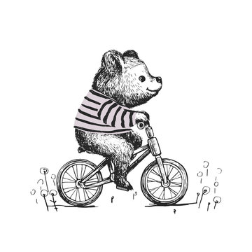Cute baby boy bear riding a bicycle . Animal illustration. Can be used for kid's or baby's shirt design. fashion print design, fashion graphic, t-shirt, kids wear