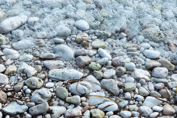 shore with stones