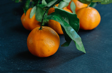 Tangerines  or oranges, mandarins, clementines, citrus fruits with green leaves over dark background