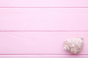 Seashells on a pink wooden background. Summer concept