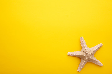 Fototapeta na wymiar Caribbean starfish on a yellow background.Top view