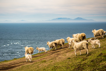 Amazing summer landscape in Neist Point, Isle of Skye in Scotland