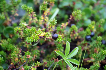 Исландия Iceland