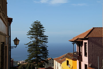 Канары Canaries