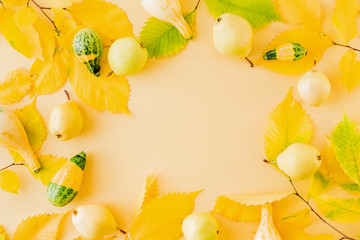 Flat lay composition with colorful autumn leaves, yellow pears and pumpkins on a colored background