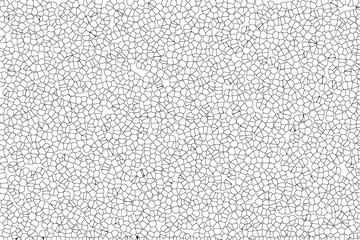 Beautiful horizontal abstract mosaic texture black white color