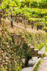 Algund, Waalweg, Weinberg, Weinpergola, Steintreppe, Wasserversorgung, Vinschgau, Südtirol, Sommer, Italien