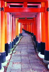 Fototapeta premium Pasillo y cultura de Japón