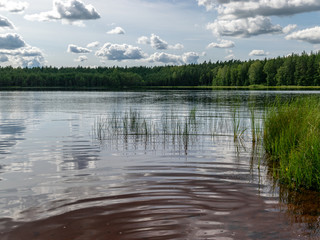 clouds and forest reflecting in the still waters