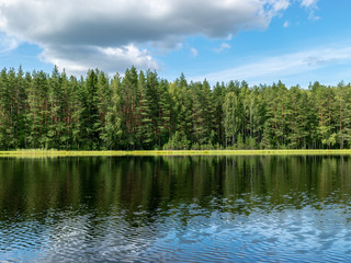 Fototapeta na wymiar beautiful clouds and forest reflecting in the still waters
