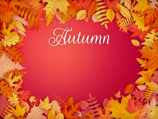 Autumn sale background layout in frame from leaves. Shopping sale or promo poster and frame leaflet or web banner. EPS 10