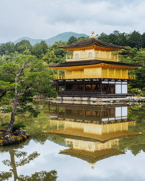 house near pond