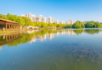 Lakeside View of Daning Tulip Park, Shanghai