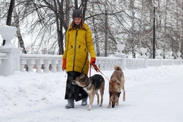 Young woman is walking in a snowy winter park with her two dogs.